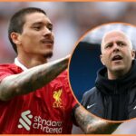 Čo Darwin Núñez tajne mal mať Liverpool na červenom výstrahe