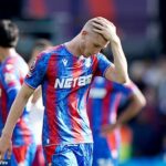 Crystal Palace sa pôvodne kvalifikoval cez svoj pohár FA do Európskej ligy, ale teraz vypadol z súťaže