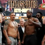 Oleksandr USYK a Daniel Dubois zamkli rohy v dvoch samostatných prípadoch predtým, ako sa uvažovali