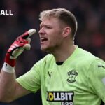 Obrázok článku: David Ornstein: Dohoda Newcastle iba osamelá pre Southampton