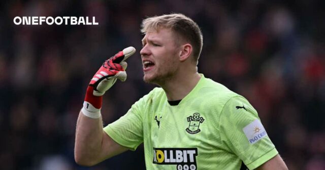 Obrázok článku: David Ornstein: Dohoda Newcastle iba osamelá pre Southampton