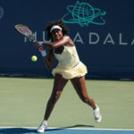 Fanúšikovia športu, ktorí v utorok oslavujú tenisovú legendu Venus Williams