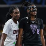 Hra WNBA prerušená lietajúcou sexuálnou hračkou
