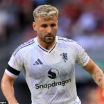 Luke Shaw bol pripravený počuť ponuky od cieľa a cieľa