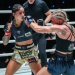 One Fight Night 33: „Veľa zasiahol“