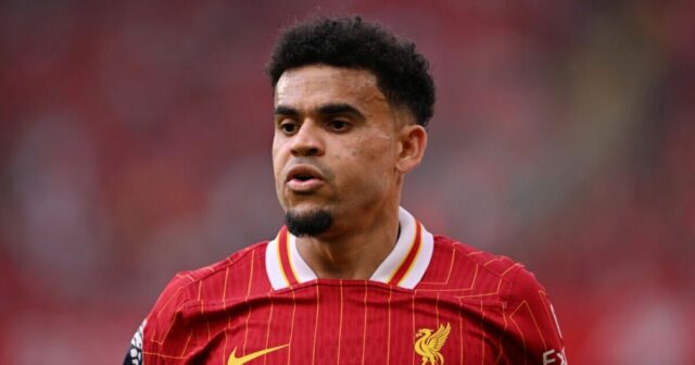 Pozícia Luisa Diaza ako Liverpool dostane od Mníchov Bayern Mníchov 45 miliónov GBP | Futbalový šport

