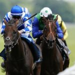 May Sports Racing Racing Robin Goodfellow ponúka svoje tipy na piatkové stretnutia