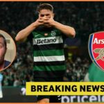 Roman Fabrizio vo Viktor gyokeri Arsenal Secret rozhovory