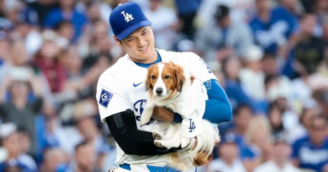 Shohei Ohtani z Dodgers napísal detskú knihu o Pooch Decoy

