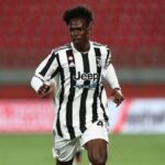Úradník | Podpísanie Lille Gil Vicente Ala Félix Correia