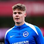 Rím údajne dosiahol dohodu s Brightonom, aby podpísal Evan Fergusona pôžičkou.