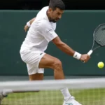 Wimbleon donates thousands of tennis balls to create homes for UK mice after championships image