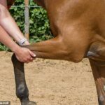 Medici predstavili CPR na stajni, ale po utorok ráno sa im nepodarilo zachrániť svoje životy (Stock Picture)