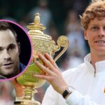 „Skúsený hlas“ Jannik Sinner ocenil „textúru rany“ vo finále Wimbledonu