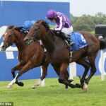 Delacroix (vpravo) a ombudsman obnovia svoje rivality v York Juddmonte International
