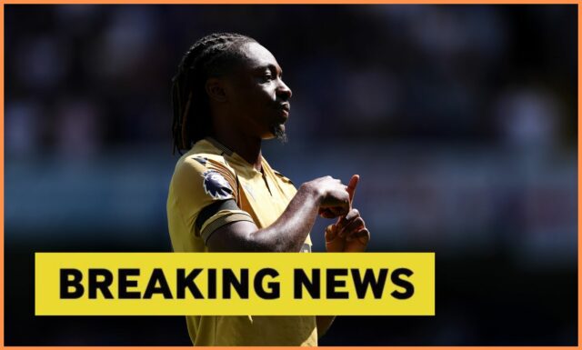 Crystal Palace sa snaží nahradiť Eze Hwang Hee Chan



