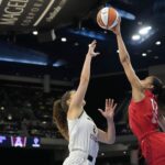 Sexová hračka sa začala na súde v sekundách víťazstva Atlanta Dream 86-65 nad Chicago Sky vo štvrtok v noci, posledný incident v zápase WNBA.