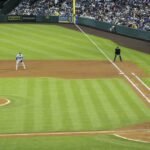 Dve zatknutia po násilnom hádke medzi fanúšikmi anjelov a Dodgers
