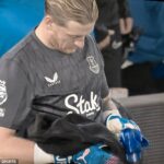 Fanúšikovia sa domnievajú, že Jordan Pickford urobil Bluff tým, že v pondelok skontroloval stránku s trestným podvádzaním