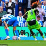Šortky Calvina Basseyho v sobotu REPEALIFICLE počas Fulhamovho 1-1 remízy s Brightonom v sobotu