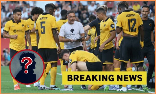 Hviezda majstrovstiev vo výške 15 miliónov GBP ponúkla hnutie Molineux

