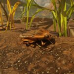 Stinkbug vo voľnej prírode (obrázok cez Xbox Game Studios)