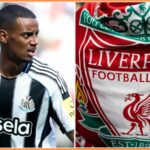 Alexander Isak z Newcastle United