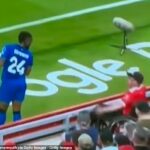 Zdá sa, že fanúšik Liverpoolu má výmenu s hráčom Bournemouth Wing Antoine Semenyo počas zápasu tímu Premier League v piatok.