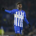 Brighton Boss Fabian Hurzeler vyjadril svoju istotu, že Carlos Bakeba zostane v klube