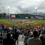 Manažéri, ktorí boli rozčúlení na pobrežných stávkach na svetovú sériu Little League Baseball World Series
