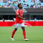 Marseille Make Technique pre záložníka Benfica Florentino Luísa