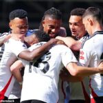 Fulham dokončil poslednú sezónu Premier League, ale v nadchádzajúcej kampani môže bojovať