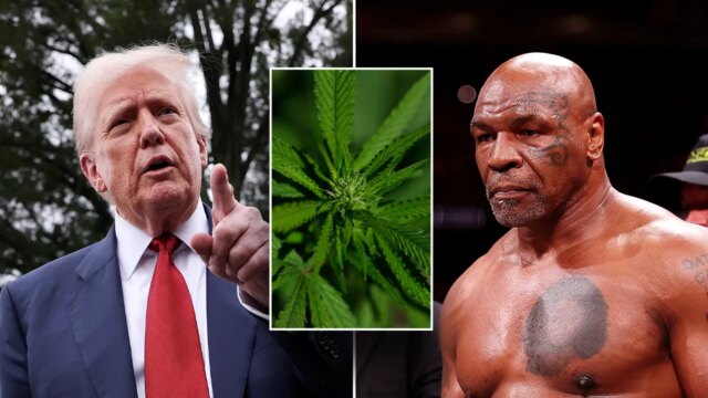 Mike Tyson navrhuje, že bude znova bojovať, keď Trump pošle marihuanu


