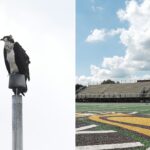 Minnesota Senior High School Football Group prinútená presunúť hniezdo pri pripravenosti na osprey