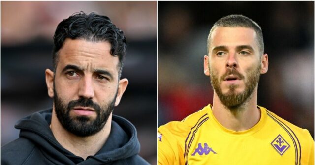 Muž, aby objavil nové podpisovanie za 24 hodín, keď sa David de Gea vráti do Old Trafford | Futbalový šport

