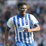 Záložník spoločnosti Brighton Carlos Bakeba údajne ocenil 120 miliónov EUR (104 miliónov GBP).