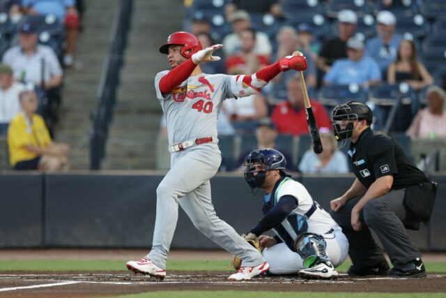 MLB: St. Louis Cardinals v Tampa Bay Rays