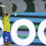Icon: Palmeiras