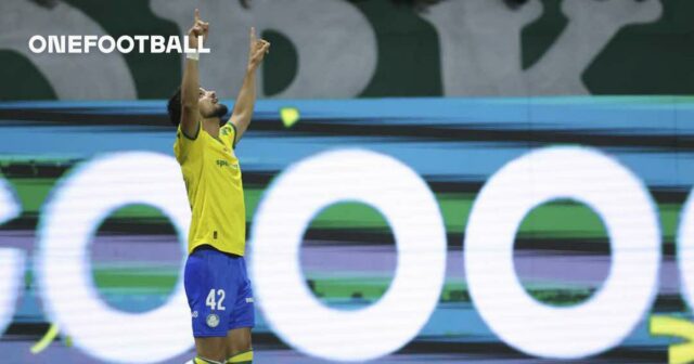 Icon: Palmeiras