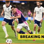 Predchádzajúci hráč založený na prenos západného bravčového mäsa