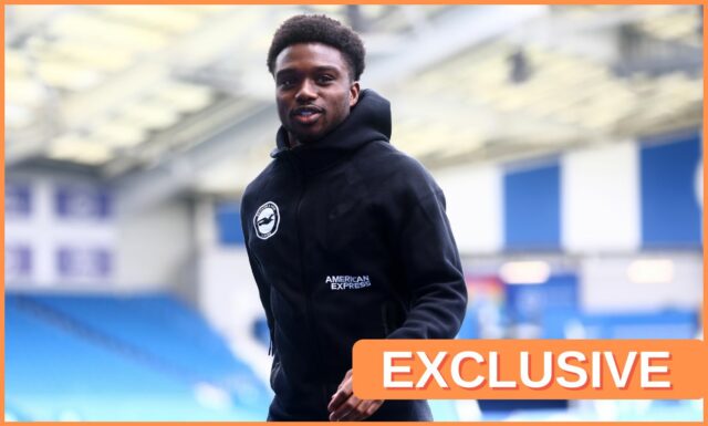 Tariq Lamptey to Fiorentina Transfer Last Informácie preskúmané informácie Tariq Lamptey to Fiorentina Transfer Last Informácie preskúmané informácie