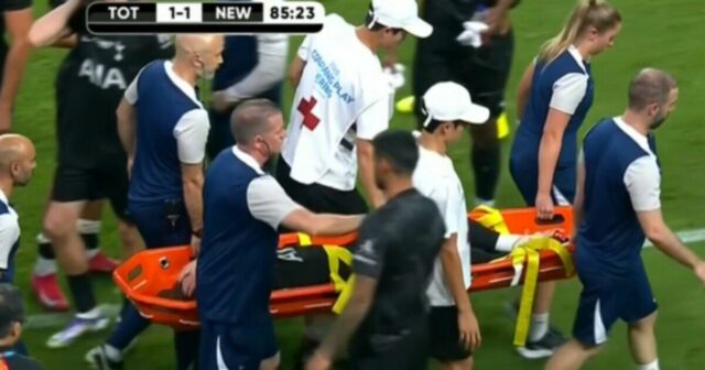 Tottenham hviezda v sĺz

