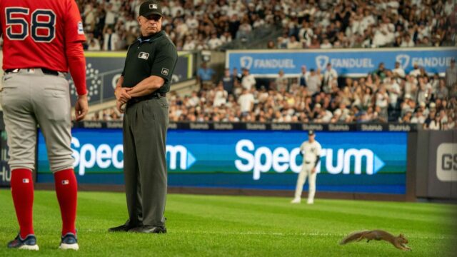 Veverička beží na oblasť a krátko odkladá Red Sox-Yankees 

