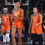 Investičná skupina Connecticut spochybňuje ponuku Steva Pagliuca, bývalého majiteľa Bostonu Celtics, zo štátu WNBA Connecticut Sun a Massachusetts