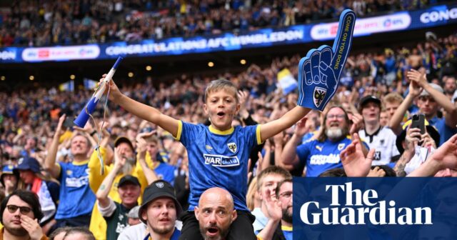 Wombling Free: Cesta fanúšikov z futbalu k nenávisti najvyššia sila AFC Wimbledon

