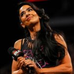 AJ Lee pošle šesť slovnú správu pred RAW