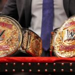 Báječná skupina značiek dráždi WWE Návrat!
