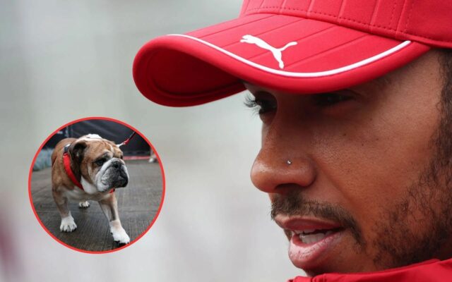 Roscoe a Lewis Hamilton na Grand Prix F1 Grand Prix of Great Britain Weekend - Zdroj: Getty