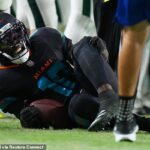 Tyreek Hill kričí v bolesti po tom, čo šiel so zranením, keď delfíni hrali Jets