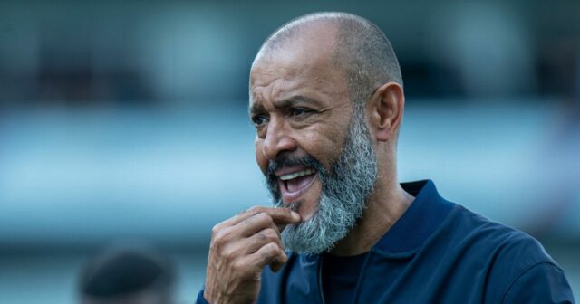 Nottingham Woodland prelomí ticho pri prepustení Nuno Espírito Santo 

